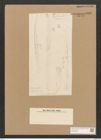 Homoeocladia kotschyi Grun. (de-Toni-Nr.: Genus 48, Species 2191) Zeichnungen Sammlung Grunow Nr. 4586 (NHMW-BOT-W0372599)